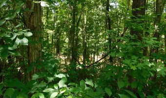 98 63 AC Pointer Rd, Alton, VA 24520