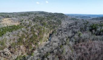 2665 Mt. Carmel Rd, Altoona, AL 35952