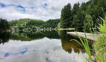 71529 FISHHAWK Rd, Birkenfeld, OR 97016