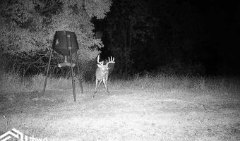 560 Th Ave, Albia, IA 52531