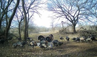 1299 E US HWY 160, Argonia, KS 67004