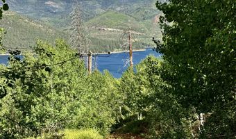 TBD CR 501, Bayfield, CO 81122
