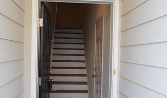 1021 Diamond Dove Ln, Apex, NC 27502