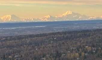 16875 Saint John's Dr, Anchorage, AK 99516