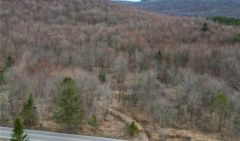 State Highway 28, Andes, NY 13731