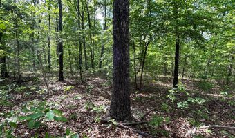 County Road 544, Bakersfield, MO 65609