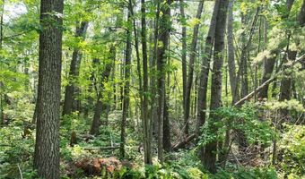 Tract 4 Lake May Drive NW, Akeley, MN 56433