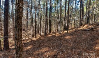 Old Douglass Road unit 3 3, Blackstock, SC 29014