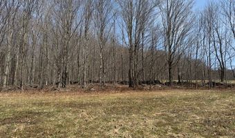 Lot 2 Doig Hollow Road, Andes, NY 13731