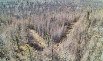 5280 Cathro Rd, Alpena, MI 49707