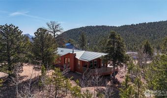 53 Obrien Rd, Bailey, CO 80421