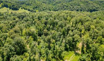 2291 Blankey Branch Rd, Beattyville, KY 41311