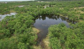Tbd FM 600, Anson, TX 79501