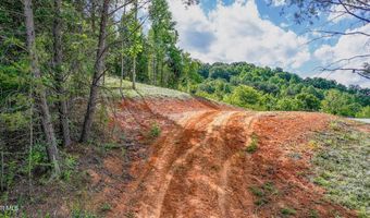 Tbd Rock Quarry Road, Afton, TN 37616