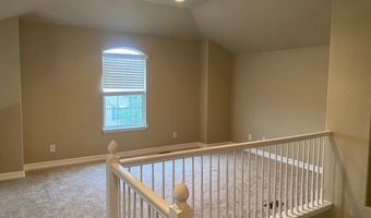 4888 Raven Run, Broomfield, CO 80023