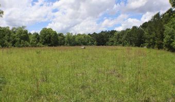 Vine Drive, Brandon, MS 39047