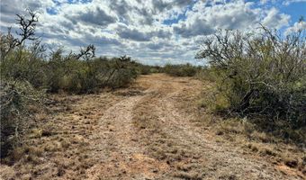 332 CR 171, Alice, TX 78332