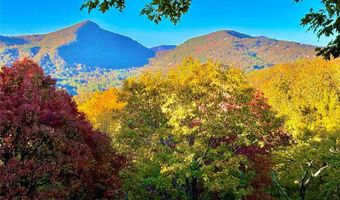 1620 Buckberry Dr N, Sapphire, NC 28774