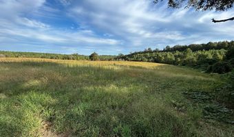 21550 CO RD 41, Addison, AL 35540