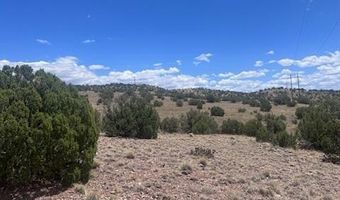 41 Indian Drive CR 8062, Concho, AZ 85924
