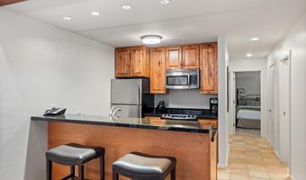 610 S West End St D304, Aspen, CO 81611