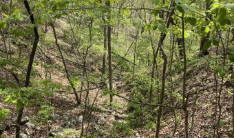 State Hwy N Tract G, Ava, MO 65608