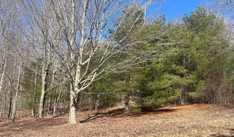 L21.1 Alder Pond Road, Andes, NY 13740