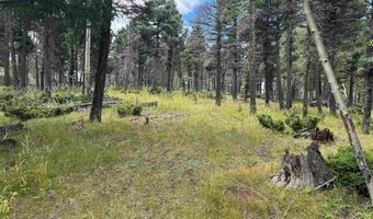 Lot 310 S Vail Overlook, Angel Fire, NM 87710