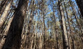 Lot 37 PETERSBURG Trace, Lincolnton, GA 30817