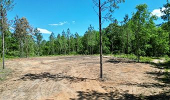 0 AL SR 223, Banks, AL 36005