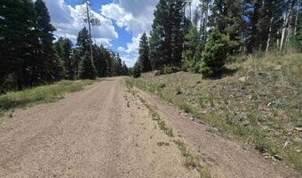 Plesant Valley lot 1302, Angel Fire, NM 87710