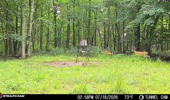 566 A Tunnel Ridge Rd, Argillite, KY 41121