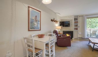 455 VILLAGE Rd 102, Breckenridge, CO 80424