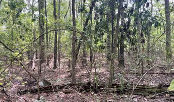 Brock Cir, Brandon, MS 39042
