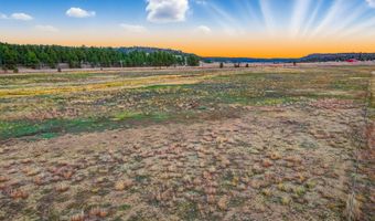 42856 US-180, Alpine, AZ 85920