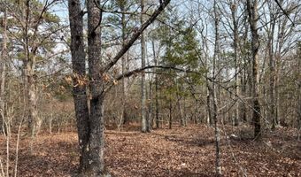 Cunningham Road, Bradley, SC 29819