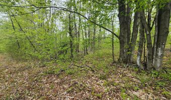 Valleyridge Circle, Alba, MI 49611