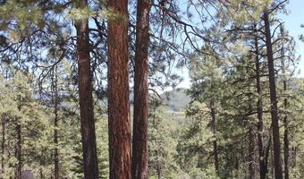 140 Jackalope Dr, Bayfield, CO 81122