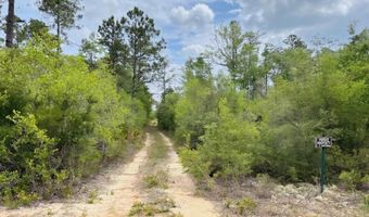 Broadview Avenue, Alford, FL 32420