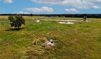 Tbd Tract 4 Fm-2819, Anderson, TX 77830