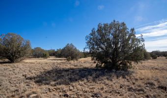 Lot 102 Raz Road, Ash Fork, AZ 86046