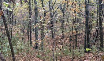 1 8 Miles Due South Down Anding Oil City Rd, Bentonia, MS 39040