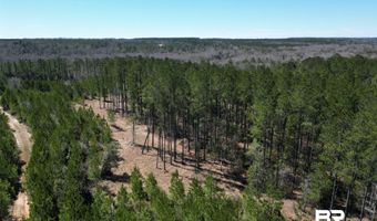 Robinsonville Road, Atmore, AL 36502