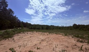 Tucker Road lot 11, Bath Springs, TN 38311