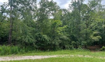0 Dove Ct, Lincolnton, GA 30817
