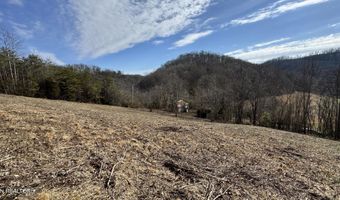 1135 Ned Clark Rd, Bean Station, TN 37708