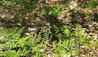 40 AC Werth Rd, Alpena, MI 49707