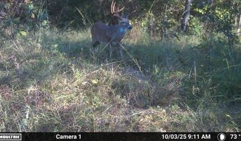 N80 Helt Rd, Antlers, OK 74525