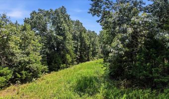 N Highway 5, Ava, MO 65608
