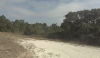2530 N Todd Rd, Avon Park, FL 33825